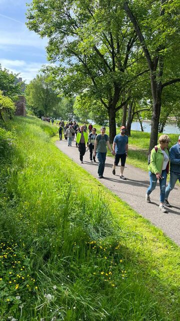 Wandergruppe beim Tischer-Treffen auf einem Spazierweg entlang des Mainufers in grüner Umgebung.